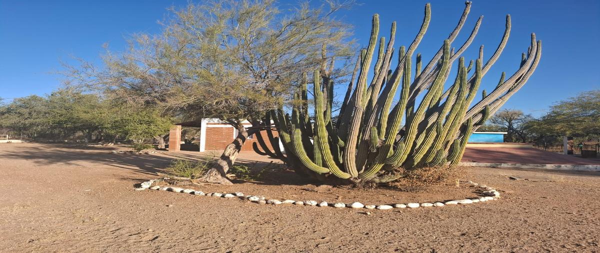 Foto de casa en venta en hacienda el alamito , real del alamito [fraccionamiento campestre], hermosillo, sonora, 29324993 No. 06